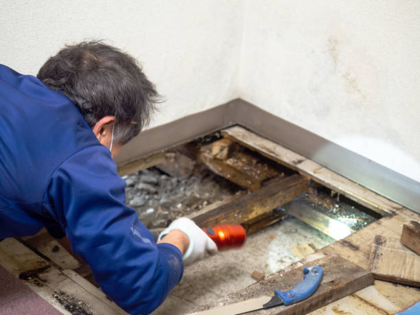 Best Post-Remediation Services in Pleasant Prairie, WI