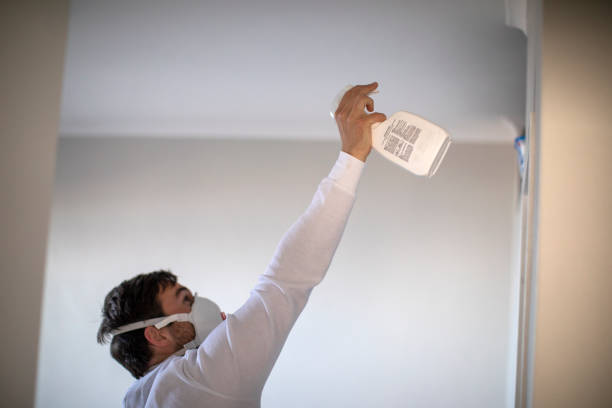 Best Health and Safety Mold Remediation in Pleasant Prairie, WI