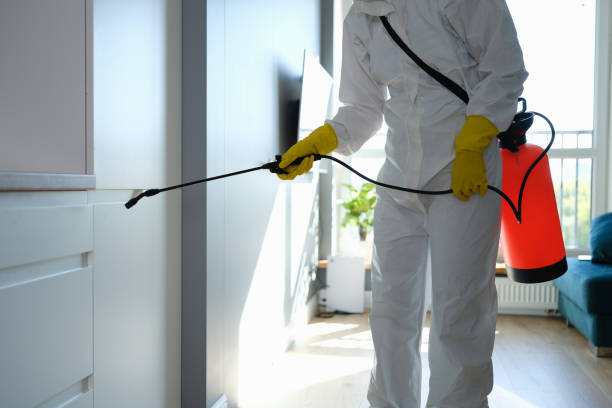 Best HVAC Mold Remediation in Pleasant Prairie, WI