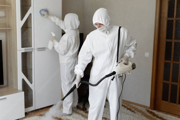 Best Post-Flood Mold Remediation in Pleasant Prairie, WI